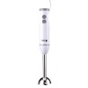 Frullatore ad Immersione Fagor Divamix Wish Acciaio 1000 W