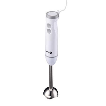 Frullatore ad Immersione Fagor Divamix Wish Acciaio 1000 W