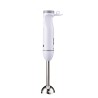 Frullatore ad Immersione Fagor Divamix Wish Acciaio 1000 W