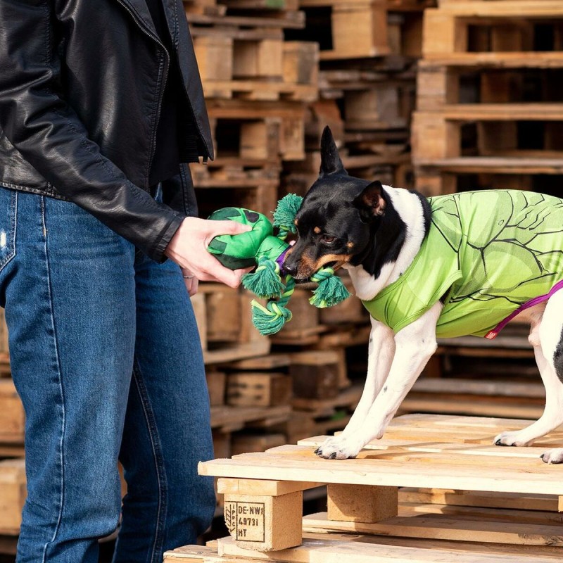 Giocattoli per cani The Avengers Verde 100 % poliestere Giocattoli per cani The Avengers Verde 100 % poliestere