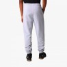 Pantalone Lungo Sportivo The North Face NF0A4SVQDYX1 Grigio Uomo