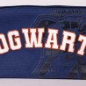 Portaoggetti Triplo Harry Potter Howarts 22,5 x 2 x 11,5 cm Blu scuro