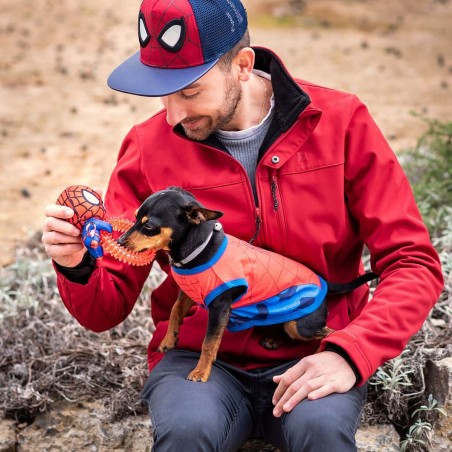 Giocattoli per cani Spider-Man   Rosso 7,0 x 12,5 x 18,5 cm (4 Unità)