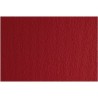 Cartoncini Sadipal LR 220 Rosso 50 x 70 cm (20 Unità)