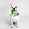 Giocattoli per cani The Avengers