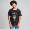 Maglia a Maniche Corte Uomo Harry Potter Grigio Grigio scuro