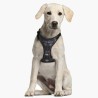 Imbracatura per Cani Star Wars Nero XXS