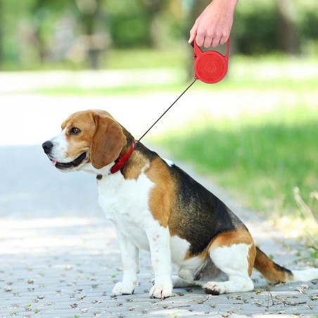 Guinzaglio per Cani Lifetime 3 m