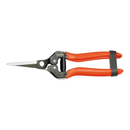 Forbici da Giardino Stocker Acciaio forgiato 19 cm Raccoglitore di frutta e verdura Uva