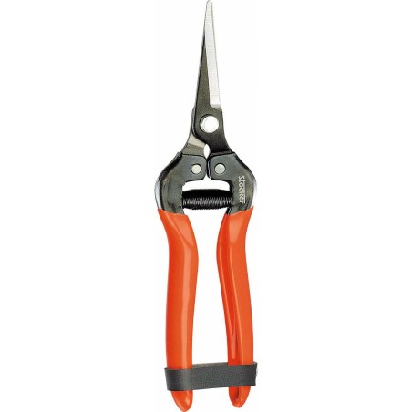 Forbici da Giardino Stocker Acciaio forgiato 19 cm Raccoglitore di frutta e verdura Uva