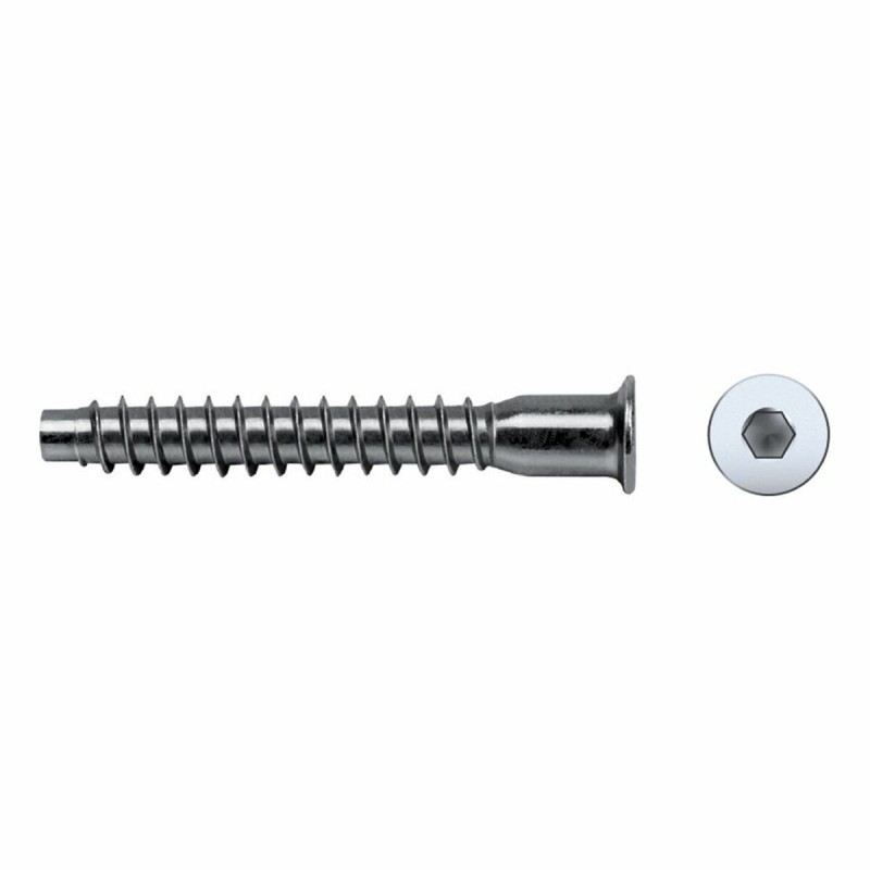Scatola a viti CELO 250 Unità Zincato (50 mm) Scatola a viti CELO 250 Unità Zincato (50 mm)