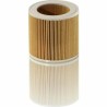 Filtro per aspirapolvere Kärcher 64145520