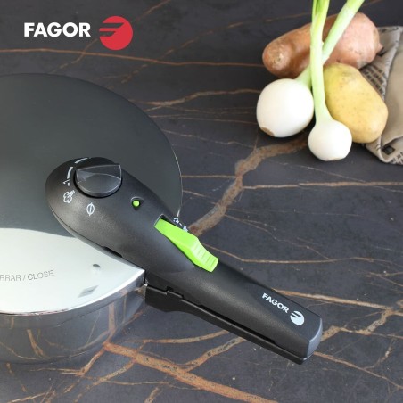 Set di pentole Express Fagor Acciaio inossidabile 10 L 2 Pezzi