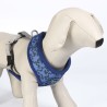Imbracatura per Cani Stitch XXS/XS Blu scuro