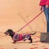 Impermeabile per Cani Minnie Mouse Rosso M