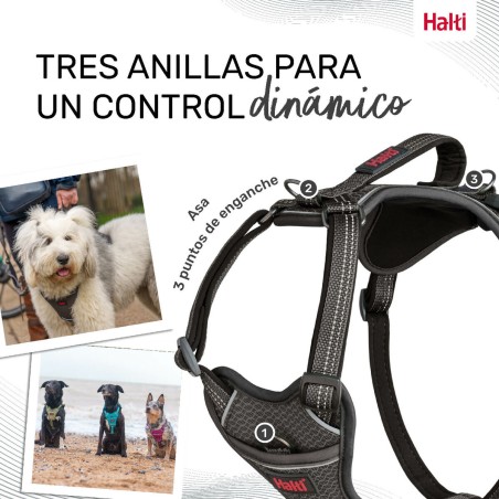 Imbracatura per Cani Company of Animals Grigio XL 50-78 cm