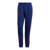 Pantalone Lungo Sportivo Adidas Reverse Retro Future Icons Azzurro Uomo