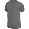 Maglia a Maniche Corte Bambino 4F JTSMF001  Grigio