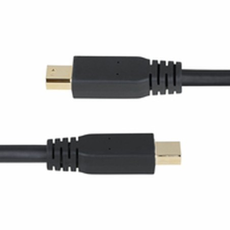 Cavo VGA Startech DP14MDPMM10F Nero 3 m