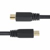 Cavo VGA Startech DP14MDPMM10F Nero 3 m