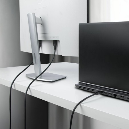 Cavo VGA Startech DP14MDPMM10F Nero 3 m
