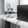Cavo VGA Startech DP14MDPMM10F Nero 3 m