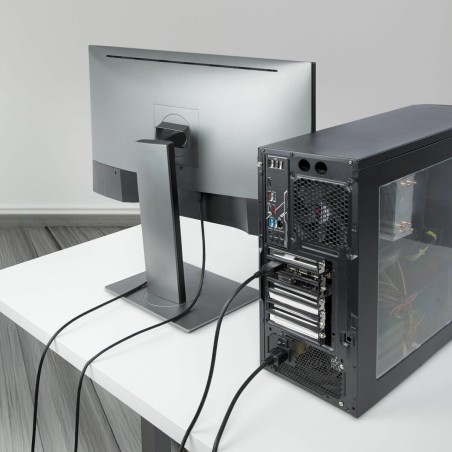 Cavo VGA Startech DP14MDPMM10F Nero 3 m