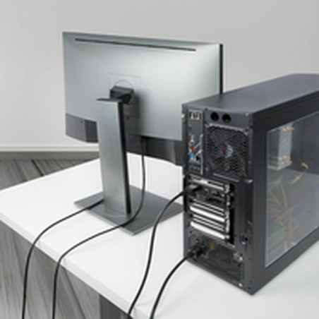 Cavo VGA Startech DP14MDPMM10F Nero 3 m