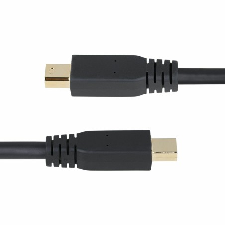 Cavo VGA Startech DP14MDPMM10F Nero 3 m