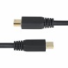 Cavo VGA Startech DP14MDPMM10F Nero 3 m