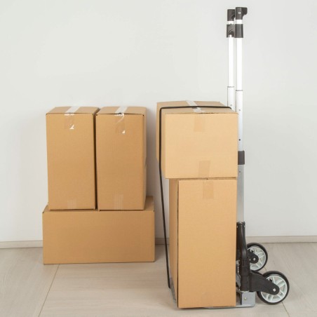 Carrello Multiuso Aktive 40 x 100 x 40 cm (2 Unità)