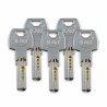 Chiavistello di sicurezza IFAM CS88L M50 Acciaio Ottone