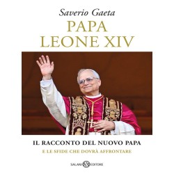 Papa Leone XIV. Il racconto del nuovo papa e le sfide che dovrà affrontare