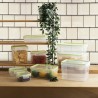 Porta pranzo Ermetico Quid Greenery Trasparente Plastica Rettangolare 1,05 L (4 Unità)