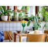 Set di Costruzioni Lego Botanical Collection 40747 Daffodils Multicolore 216 Pezzi