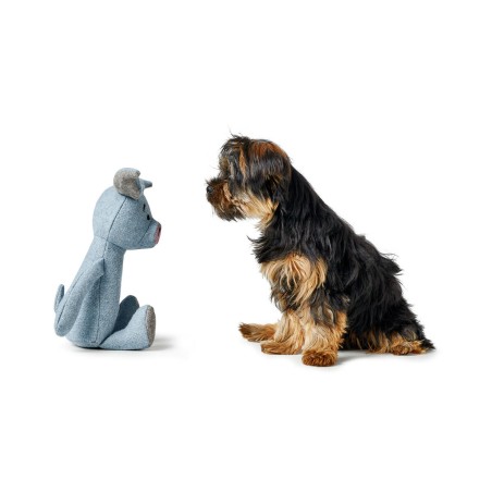 Giocattoli per cani Hunter Marle Azzurro Maiale