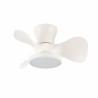 Ventilatore da Soffitto CristalRecord MOLL RETRAC Trasparente 20 W