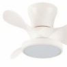 Ventilatore da Soffitto CristalRecord MOLL RETRAC Trasparente 20 W