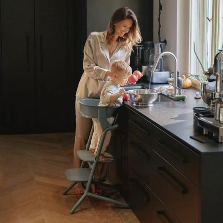 Sedia per Bambini Cybex Lemo Learning Tower Nero