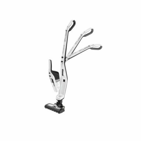 Aspirapolvere senza Cavo Rowenta RH6737