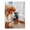 Mangiatoia automatica PetSafe Nero Acciaio inossidabile
