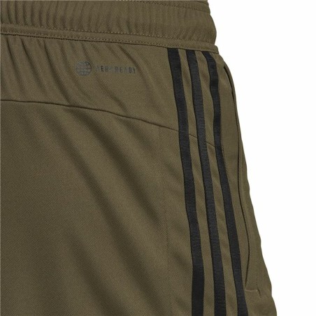 Pantaloni Corti Sportivi da Uomo Adidas Piqué Oliva