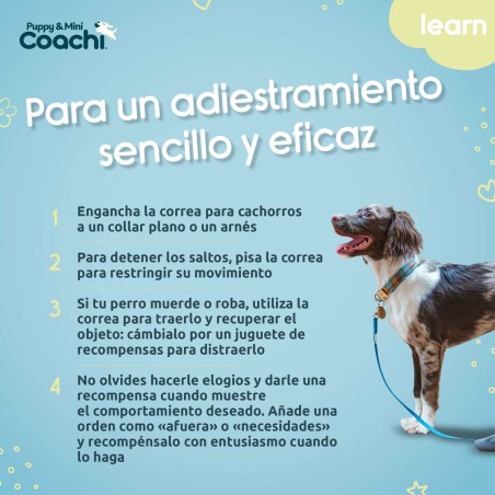 Imbracatura per Cani Coachi