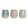 Barattolo DKD Home Decor Azzurro Verde Rosa 10 x 10 x 16 cm (3 Unità)