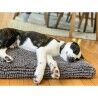 Cuccia per Cani Dog Gone Smart Grigio 53 x 76 cm