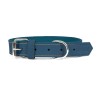 Collare per Cani Gloria Oasis Azzurro (1,2 x 35 cm)