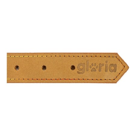 Collare per Cani Gloria Oasis Giallo (70 x 3 cm)