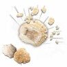 Gioco da Tavolo SES Creative Explore Geodes (FR)
