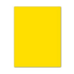 Cartoncini Iris Giallo 50 x 65 cm