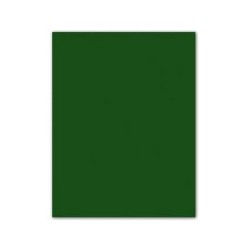 Cartoncini Iris Verde scuro 50 x 65 cm